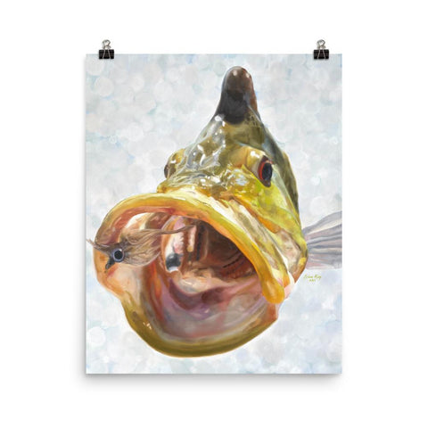 Artwork available of a southern fish in Florida called the Peacock Bass. 
