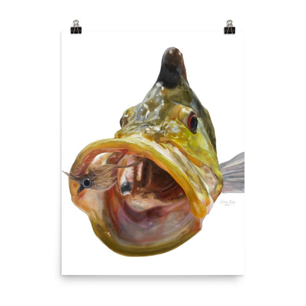 Fish art painting of a species called a Peacock Bass. Prints available on canvas and poster for home decor.
