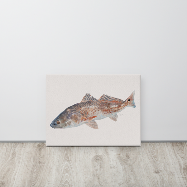 Golden Hour Redfish on Canvas