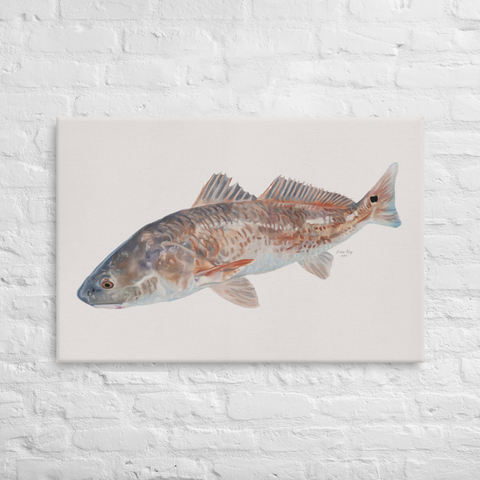 Golden Hour Redfish on Canvas